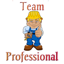 Team-Profesional 1